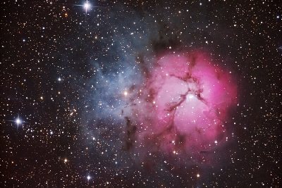 Trifid